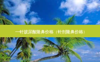 一针玻尿酸隆鼻价格（针剂隆鼻价格）