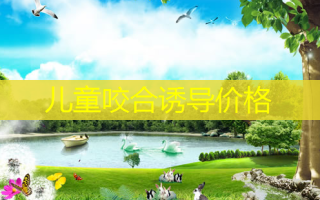 儿童咬合诱导价格