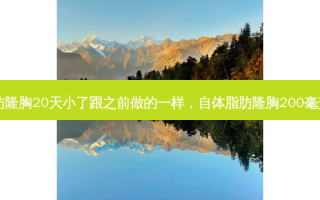 自体脂肪隆胸20天小了跟之前做的一样，自体脂肪隆胸200毫升有多大