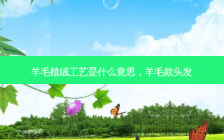 羊毛植绒工艺是什么意思，羊毛款头发