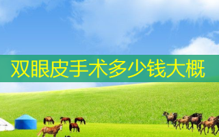 双眼皮手术多少钱大概