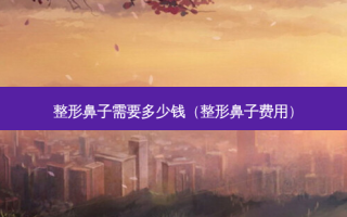 整形鼻子需要多少钱（整形鼻子费用）