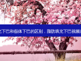 脂肪填充下巴和假体下巴的区别，脂肪填充下巴视频过程视频