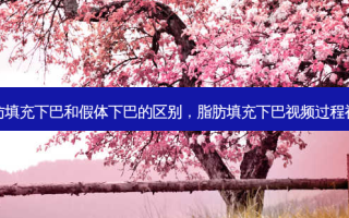 脂肪填充下巴和假体下巴的区别，脂肪填充下巴视频过程视频