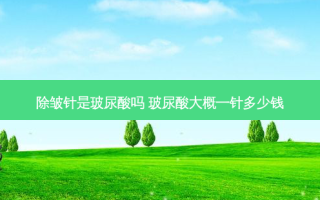 除皱针是玻尿酸吗 玻尿酸大概一针多少钱
