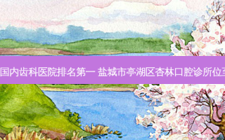 2023国内齿科医院 ***  盐城市亭湖区杏林口腔诊所位至首列