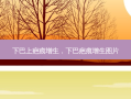 下巴上疤痕增生，下巴疤痕增生图片