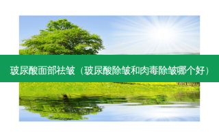 玻尿酸面部祛皱（玻尿酸除皱和肉毒除皱哪个好）