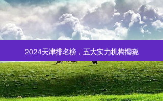 2024天津排名榜，五大实力机构揭晓