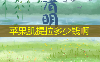 苹果肌提拉多少钱啊