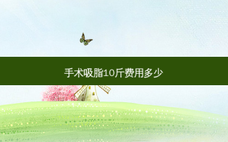 手术吸脂10斤费用多少