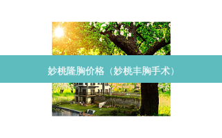 妙桃隆胸价格（妙桃丰胸手术）