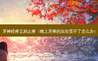 牙神经疼立刻止疼（晚上牙疼的实在受不了怎么办）
