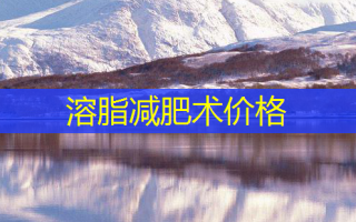 溶脂减肥术价格
