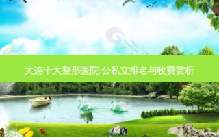 大连十大整形医院:公私立排名与收费赏析