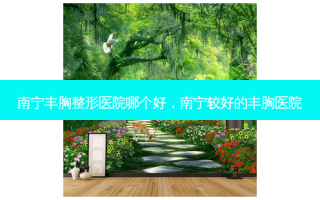 南宁丰胸整形医院哪个好，南宁较好的丰胸医院