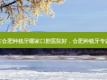 在合肥种植牙哪家口腔医院好，合肥种植牙专家