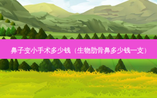 鼻子变小手术多少钱（生物肋骨鼻多少钱一支）