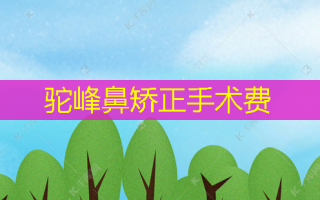 驼峰鼻矫正手术费