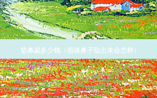 垫鼻梁多少钱（假体鼻子取出来会怎样）