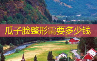 瓜子脸整形需要多少钱