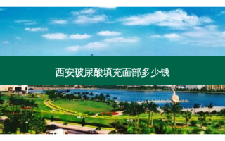 西安玻尿酸填充面部多少钱