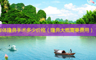 膨体隆鼻手术多少价格（隆鼻大概需要费用）