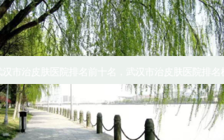 武汉市治皮肤医院排名前十名，武汉市治皮肤医院排名榜