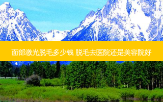 面部激光脱毛多少钱 脱毛去医院还是美容院好
