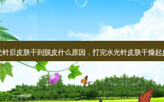 打完水光针后皮肤干到脱皮什么原因，打完水光针皮肤干燥起皮正常吗