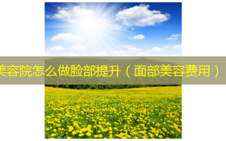 美容院怎么做脸部提升（面部美容费用）