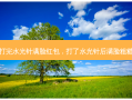 打完水光针满脸红包，打了水光针后满脸粗糙