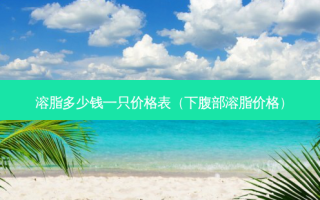 溶脂多少钱一只价格表（下腹部溶脂价格）