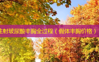 注射玻尿酸丰胸全过程（假体丰胸价格）