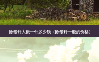 除皱针大概一针多少钱（除皱针一般的价格）