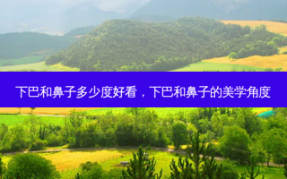下巴和鼻子多少度好看，下巴和鼻子的美学角度