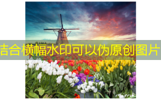 美容一般需要多少钱