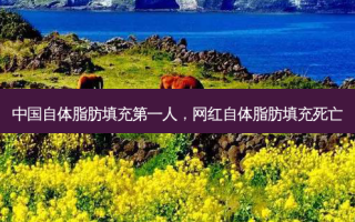 中国自体脂肪填充之一人，网红自体脂肪填充死亡