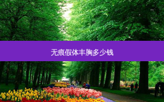 无痕假体丰胸多少钱