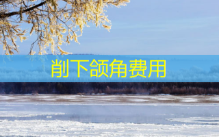 削下颌角费用
