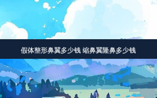 假体整形鼻翼多少钱 缩鼻翼隆鼻多少钱