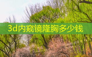3d内窥镜隆胸多少钱