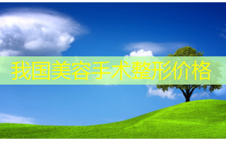 我国美容手术整形价格