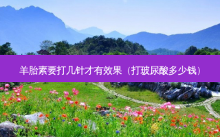 羊胎素要打几针才有效果（打玻尿酸多少钱）