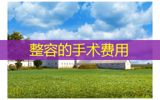 整容的手术费用