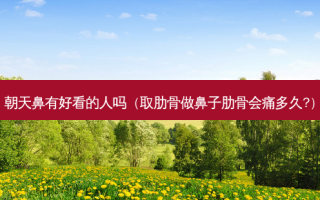朝天鼻有好看的人吗（取肋骨做鼻子肋骨会痛多久?）