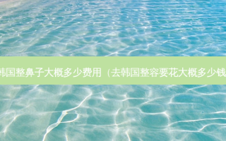 韩国整鼻子大概多少费用（去韩国整容要花大概多少钱）