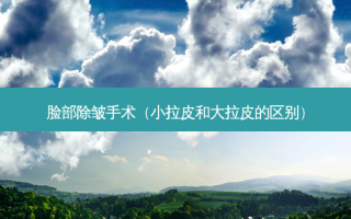脸部除皱手术（小拉皮和大拉皮的区别）