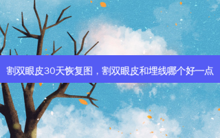 割双眼皮30天恢复图，割双眼皮和埋线哪个好一点