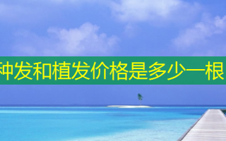 种发和植发价格是多少一根